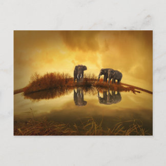 Amazing Elephant Sunset Briefkaart
