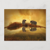 Amazing Elephant Sunset Briefkaart (Voorkant)