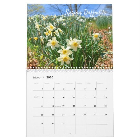 Amazing Flowers Wall Calendar Kalender (Mar 2026)
