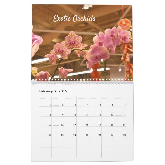 Amazing Flowers Wall Calendar Kalender (Feb 2026)
