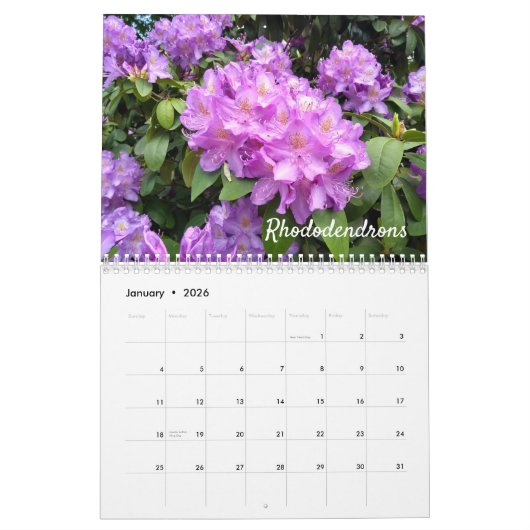 Amazing Flowers Wall Calendar Kalender (Jan 2026)