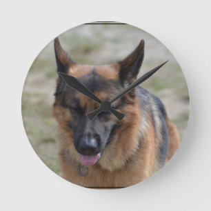 Amazing German Shepherd Ronde Klok