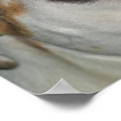Amazing Grace Bulldog Cross Poster (Hoek)
