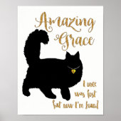 Amazing Grace Rescued Cat Poster (Voorkant)
