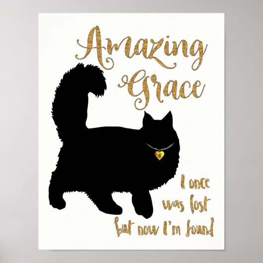 Amazing Grace Rescued Cat Poster (Voorkant)