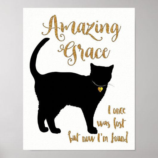 Amazing Grace Rescued Cat Shorthair Poster (Voorkant)
