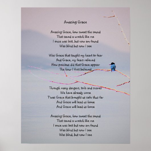 Amazing Grace Uplifting Comforting Hymn Kingfisher Poster (Voorkant)