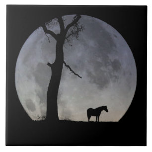 Amazing Horse and Moon Art Tegel Tegeltje