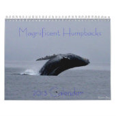 Amazing Humpback Whale Calendar Kalender (Hoes)