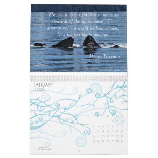 Amazing Humpback Whale Calendar Kalender (Jan 2026)