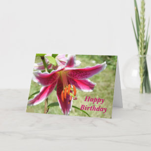 Amazing Lily Birthday Kaart