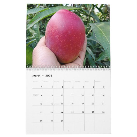 Amazing mango kalender 2023 (Mar 2026)