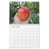 Amazing mango kalender 2023 (Jan 2026)