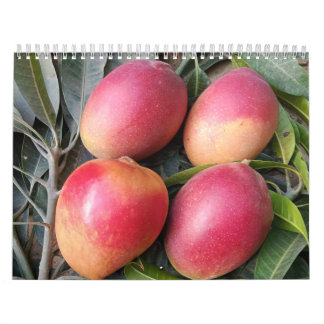Amazing mango kalender 2023