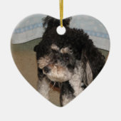 Amazing Moxie Keramisch Ornament (Voorkant)