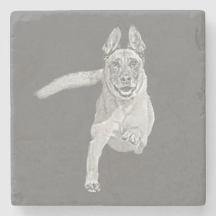 Amazing Pencil Belgium Malinois Marble Onderzetter