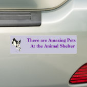 Amazing Pets Bumpersticker 17 (Op auto)