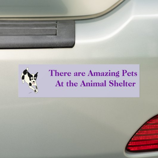Amazing Pets Bumpersticker 17 (Op auto)