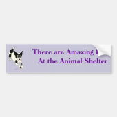 Amazing Pets Bumpersticker 17 (Voorkant)