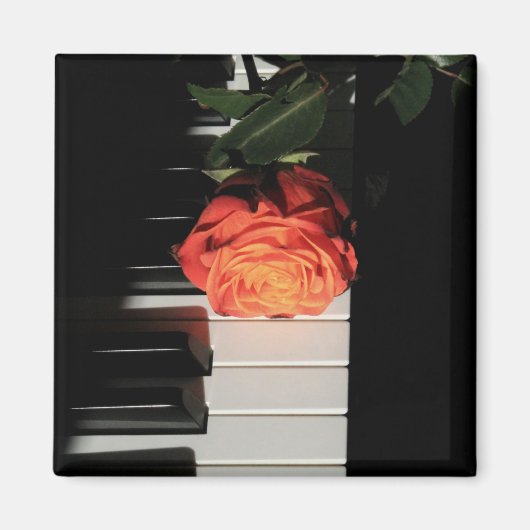 Amazing Piano Artwork Magneet (Voorkant)