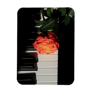 Amazing Piano Artwork Magneet