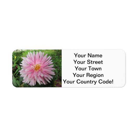 Amazing Pink Dahlia Flower Etiket (Voorkant)