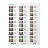 Amazing Pink Dahlia Flower Etiket (Full Sheet)