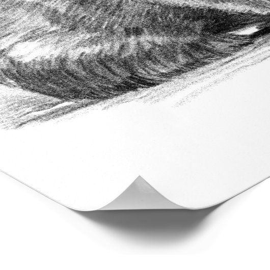 Amazing realistic wombat in pencil drawing style poster (Hoek)