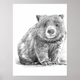 Amazing realistic wombat in pencil drawing style poster