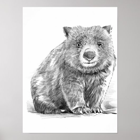 Amazing realistic wombat in pencil drawing style poster (Voorkant)