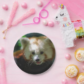 Amazing Red Panda Papieren Bordje (Feest)