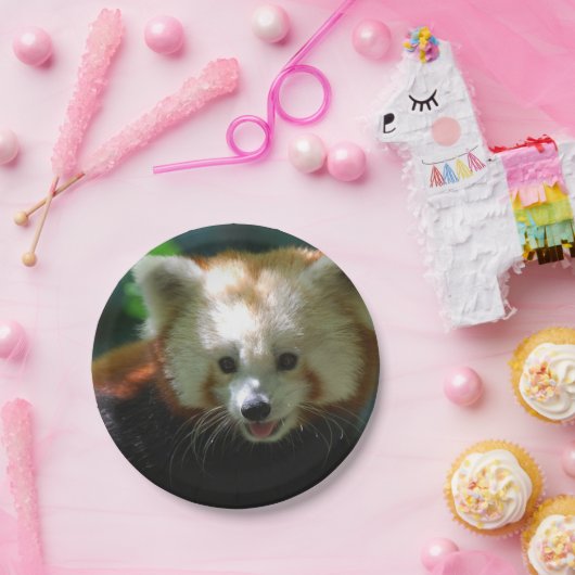 Amazing Red Panda Papieren Bordje (Feest)