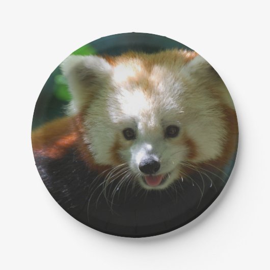 Amazing Red Panda Papieren Bordje (Voorkant)