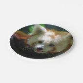 Amazing Red Panda Papieren Bordje (Gekanteld)