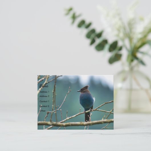 Amazing Stellar Jay Visitekaartje (Staand voorkant)