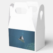 Amazing Stingray Bedankdoosjes (Geopend)