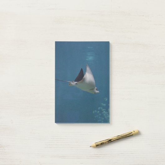 Amazing Stingray Post-it® Notes (Op bureau)