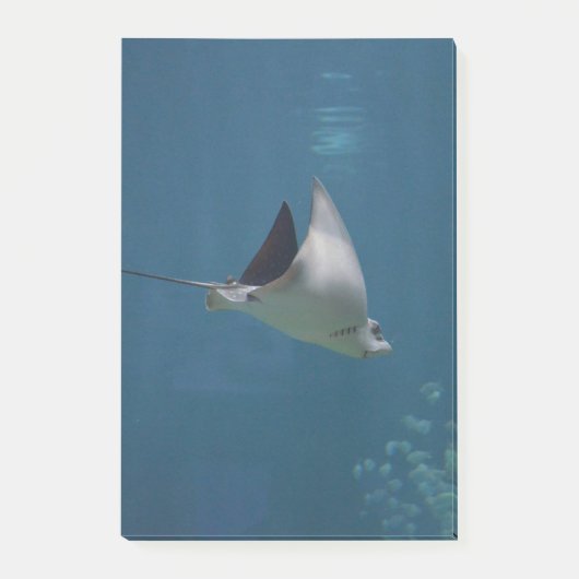 Amazing Stingray Post-it® Notes (Voorkant)