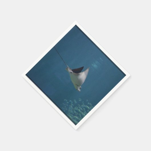 Amazing Stingray Servet (Hoek)