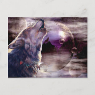 Amazing Wolf Song Briefkaart