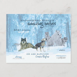 Amazing Wolves Typografie   Gepersonaliseerd Briefkaart