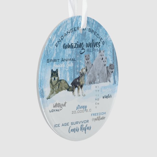 Amazing Wolves Typografie | Gepersonaliseerd Ornament (voorkant)