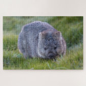 Amazing Wombat in the Grass Australia, 1014 stuks Legpuzzel (Horizontaal)