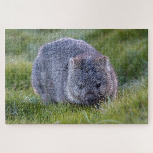 Amazing Wombat in the Grass Australia, 1014 stuks Legpuzzel (Horizontaal)