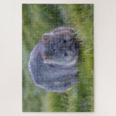 Amazing Wombat in the Grass Australia, 1014 stuks Legpuzzel (Verticaal)