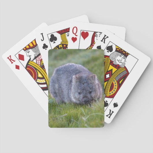 Amazing Wombat in the Grass Australia, Green Pokerkaarten (Achterkant)