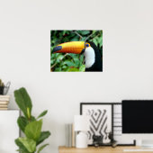 Amazon, Brazilië. Geel-beige toucan met wit Poster (Thuiskantoor)