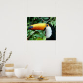 Amazon, Brazilië. Geel-beige toucan met wit Poster (Keuken)