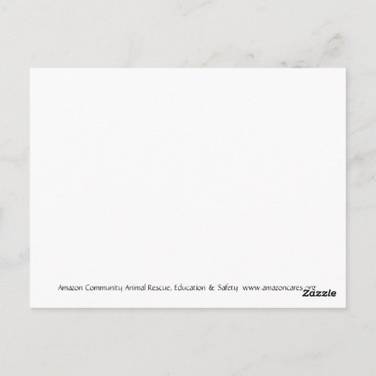 Amazon Butterfly Briefkaart (Achterkant)