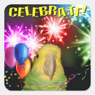 Amazon Celebration Stickers